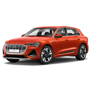 Автоковрики Audi e-tron  (2018-…)