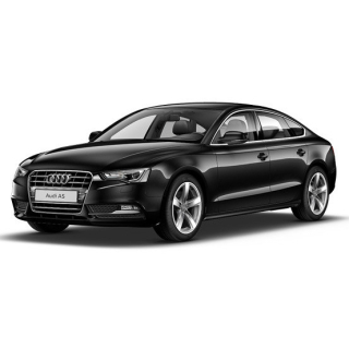 Автоковрики Audi A5 (2009-2011)
