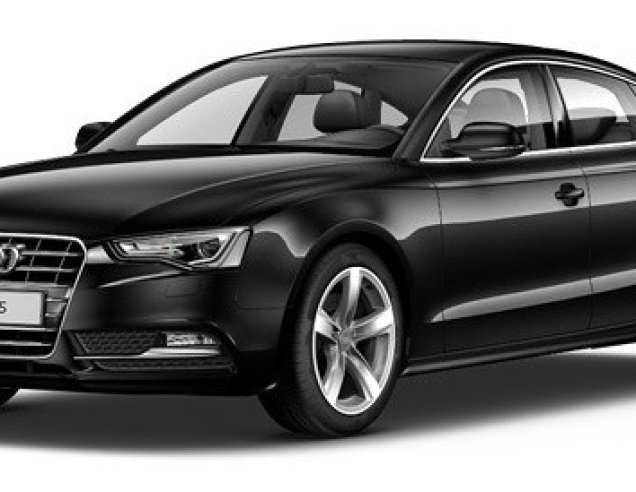 Автоковрики Audi A5 (2009-2011)