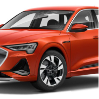 Автоковрики Audi e-tron  (2018-…)
