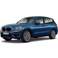 Автоковрики BMW X3 G01 (2017-…)