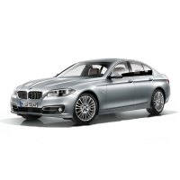 Автоковрики BMW F10 5-Series 528xi (2010-2013)