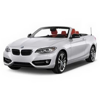Автоковрики BMW F22 2-Series (2013-…)