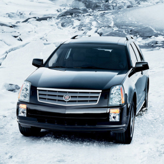 Автоковрики Cadillac SRX (2004-2009)