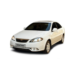 Автоковрики Daewoo Gentra (2013-…)