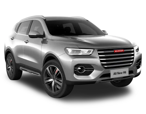 Автоковрики Great Wall Haval H6 (2017-…)