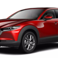 Автоковрики Mazda CX-30 (2019-…)