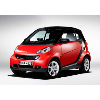 Автоковрики Mercedes-Benz SMART Fortwo (2007-2014)