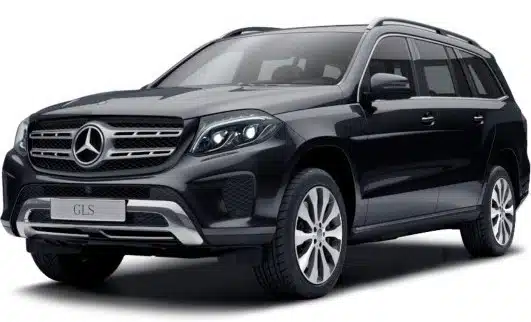 Автоковрики Mercedes-Benz X166 GLS-Class (2015-2019)