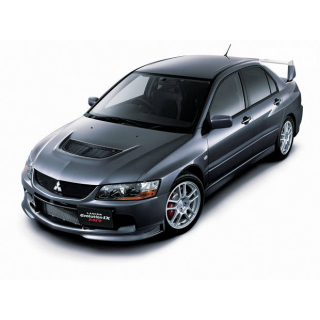 Автоковрики Mitsubishi Lancer Evolution (2005-2007)