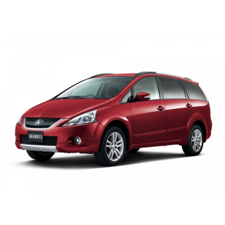 Автоковрики Mitsubishi Grandis (2003-2011)