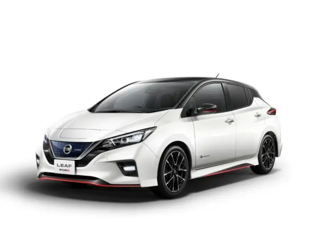 Автоковрики Nissan Leaf (2017-…)