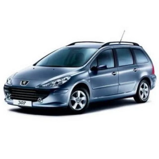 Автоковрики Peugeot 307 SW (2002-2008)