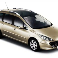Автоковрики Peugeot 307 (2001-2008)