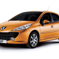 Автоковрики Peugeot 207 (2006-2012)