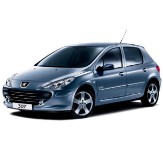 Автоковрики Peugeot 307 (2001-2005)