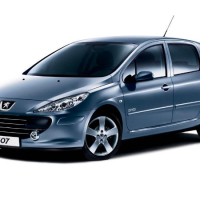 Автоковрики Peugeot 307 (2001-2005)