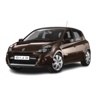 Автоковрики Renault Clio (2009-2012)