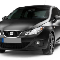 Автоковрики Seat Ibiza 6J (2008-2012)