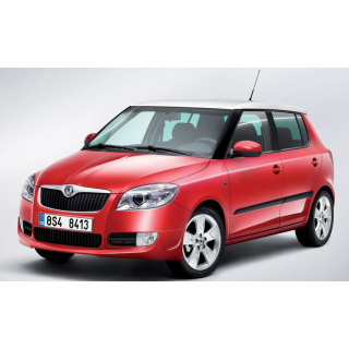 Автоковрики Skoda Fabia (2007-2014)