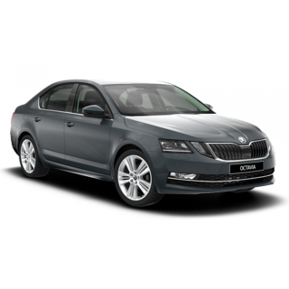 Автоковрики Skoda Octavia A7 (2017-2019)