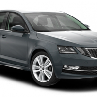 Автоковрики Skoda Octavia A7 (2017-2019)