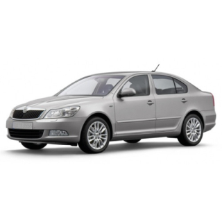 Автоковрики Skoda Octavia A5 (2004-2008)
