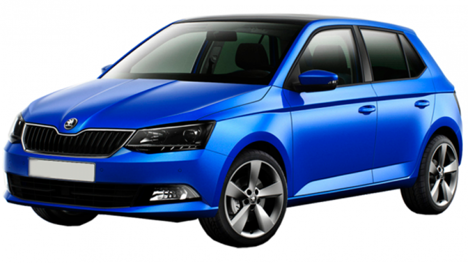 Автоковрики Skoda Fabia (2014-…)