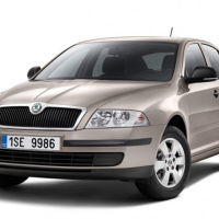 Автоковрики Skoda Octavia A4 (Tour) (1996-2010)
