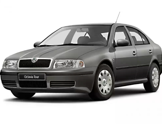Автоковрики Skoda Octavia-tour (2004-2010)