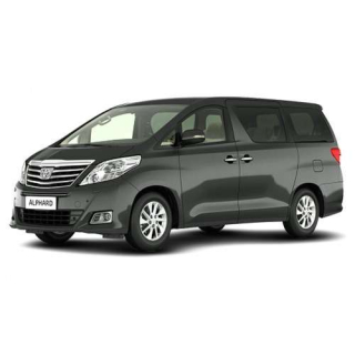 Автоковрики Toyota Alphard (2002-2008)